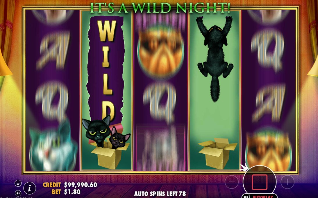 Scatter symbols landing on the reels as Free Spins begin